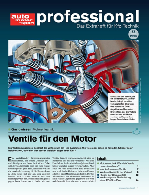 auto motor und sport professional