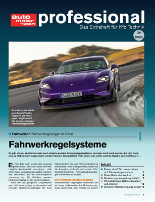 auto motor und sport professional