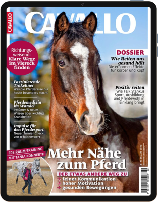 CAVALLO E-Paper