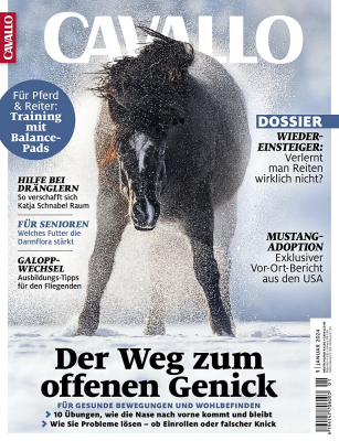 CAVALLO 1/2024 