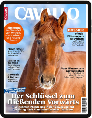 CAVALLO 1/2026 Download