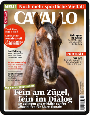 CAVALLO 11/2025 Download 