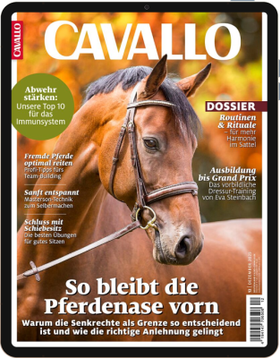 CAVALLO E-Paper 