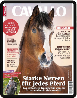 CAVALLO 2/2025 Download 