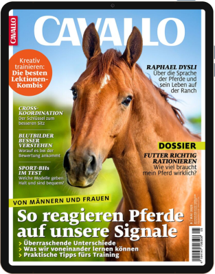 CAVALLO 5/2025 Download 